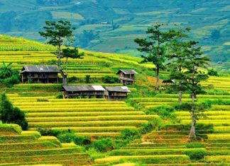 Top 18 địa điểm du lịch Yên Bái tuyệt đẹp nhất định phải trải nghiệm Top 18 địa điểm du lịch Yên Bái tuyệt đẹp nhất định phải trải nghiệm